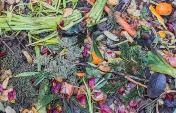 La Generalitat Valenciana colabora con la Universidad Miguel Hernández en un proyecto de investigación en compostaje