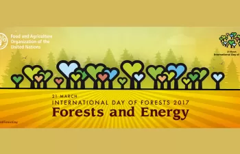 FAO dedica el Día Internacional de los Bosques a su uso energético