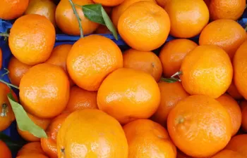 Las cáscaras de cítricos: de residuo a material para descontaminar aguas