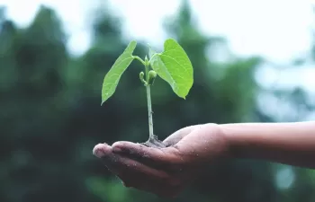 Aprobado el reparto territorial de 471 millones para proyectos de transición ecológica