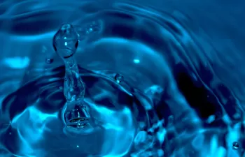 Optimizar el uso del agua, clave de los proyectos ganadores de los III Premios al Talento de la Fundación Botín