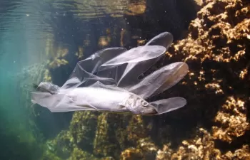 200.000 toneladas de plástico se vierten al Mediterráneo cada año