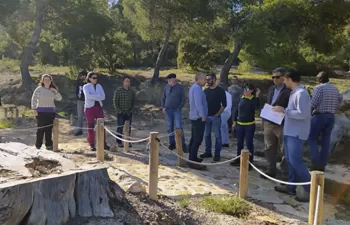 "Es necesario impulsar una red de investigación en gestión forestal para mitigar el impacto del cambio climático"