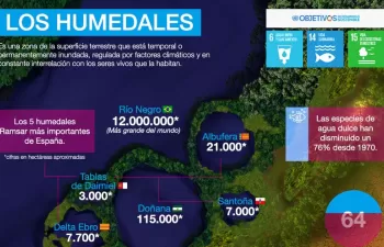 El 64% de los humedales del mundo han desaparecido en el último siglo