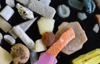 Casi el 70% de los microplásticos encontrados en playas del Pacífico y del Caribe son poliestireno