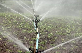 Nueva metodología que reduce el coste energético al optimizar la programación del riego