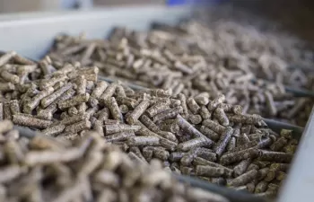 La producción de pellet de madera en España aumentó un 20% en 2019