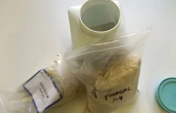 Incorporan arcillas para mejorar los procesos de depuración de aguas industriales