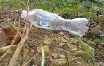 Diseñan un proceso para desintegrar residuos de plástico PET en menos de 24 horas