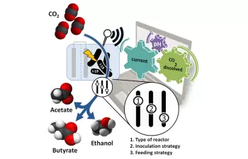 Una tesis del LEQUIA permite avanzar hacia la conversión del CO2 en biocombustibles