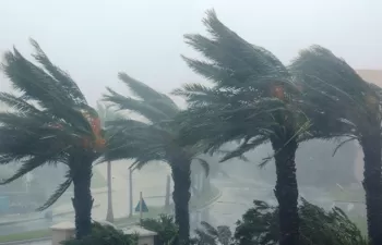 Los Bancos de desarrollo aumentarán sustancialmente sus recursos contra el cambio climático
