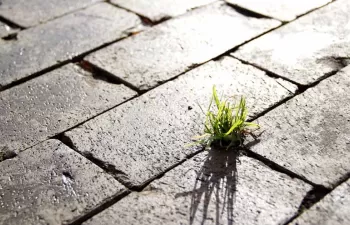 FUNDECYT-PCTEx lidera un proyecto europeo para impulsar la Compra Pública Innovadora Verde