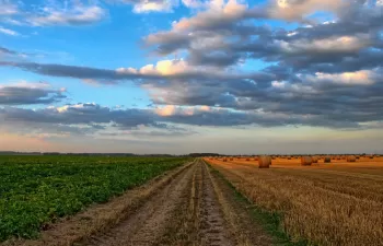 La adaptación al cambio climático es clave para el futuro de la agricultura en Europa