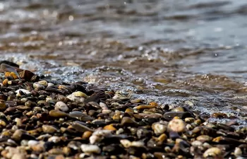 SUEZ Spain, con la restauración y la renaturalización de los ríos