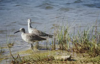 La información ambiental de las Comunidades Autónomas, analizadas por ACA en un nuevo estudio