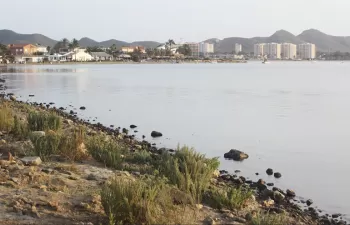 MITECO analizará los efectos de las políticas realizadas en el Mar Menor