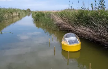 Un sistema de medición a tiempo real monitorizará el agua de l\'Albufera