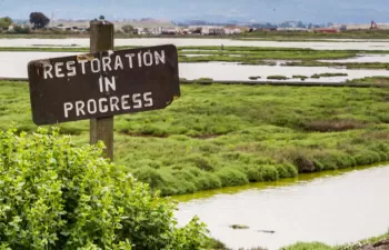 Informe Mundial sobre el Desarrollo del Agua 2018: soluciones basadas en la naturaleza para el agua