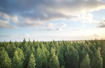 Veolia produce 132.000 toneladas de biomasa para sus clientes en España