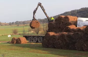 La gestión sostenible de matorrales y el uso energético de su biomasa, cada vez más cerca