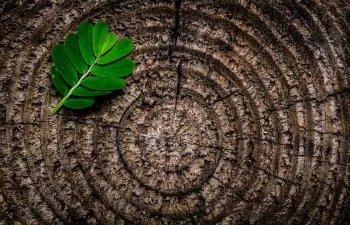 La integración de la economía circular y la bioeconomía mejoraría la sostenibilidad en Europa