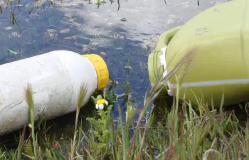 Desarrollan en Chile nuevos envases con un menor impacto ambiental