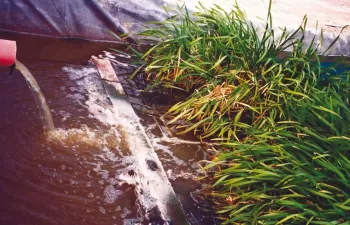 El Instituto Aragonés del Agua construirá una depuradora experimental de macrofitas en La Almunia