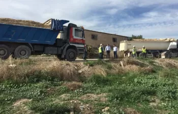 Identifican 13 especies vegetales que absorben metales y excesos de nutrientes de suelos contaminados