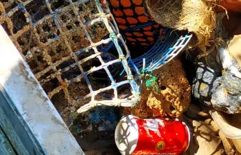 Cepesca forma a profesionales de la pesca en la recogida y gestión de basura marina