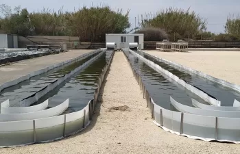 Diseñan un simulador del crecimiento de microalgas para el tratamiento de aguas residuales
