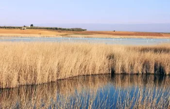 La Fundación Global Nature celebra el Día Mundial de los Humedales
