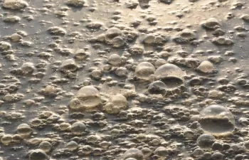 Investigadores de la UBU patenta un novedoso sistema para la depuración de aguas industriales