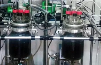 Digestión anaerobia de microalgas para la producción de biogás y el tratamiento de residuos en biorrefinerías