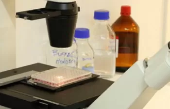 Neuron Bio y Repsol patentan un microorganismo capaz de producir biocombustibles a partir de residuos