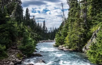 Los métodos de post-procesamiento hidrológico generan predicciones más exactas y fiables