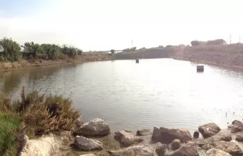 La ACA licita el proyecto para mejorar la recarga del acuífero de la Vall Baixa y el delta del Llobregat