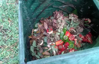 El compostaje doméstico recupera su papel en la gestión sostenible de los residuos urbanos