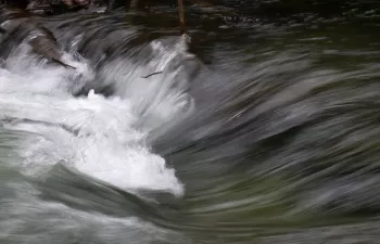 El Gobierno aprueba ocho obras de emergencia para mejorar la gestión del agua y de diversas infraestructuras