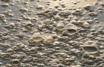 La ULE publica un trabajo sobre la eliminación de fármacos de las aguas residuales