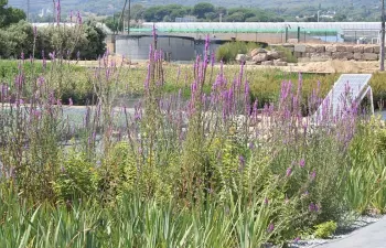 Jornada sobre recuperación y tratamiento de lixiviados en viveros