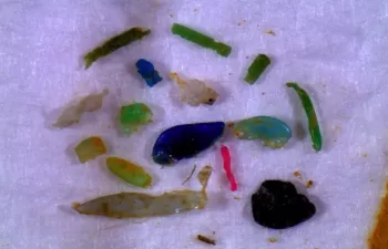 Los microplásticos de lodos de aguas residuales llegan a los suelos agrícolas