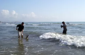 El IIAMA estudia la tendencia a la acumulación de metales pesados en la costa valenciana