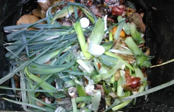 Sogama entrega 20 nuevos compostadores domésticos al concello de Ordes