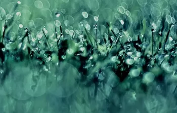 Inteligencia artificial para hacer más eficiente el uso del agua en los regadíos