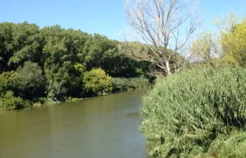 La ACA abre una convocatoria de ayudas destinada a la restauración en régimen de custodia fluvial