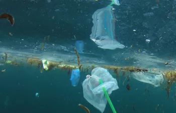 CETMAR reúne en un workshop a los principales actores en la gestión y valorización del poliestireno expandido