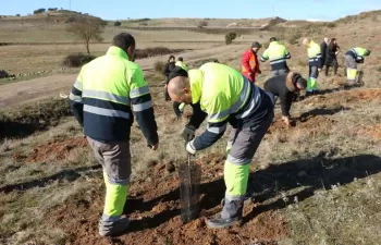 Fundación Aquae, contra la pérdida de masa forestal causada por los incendios en España