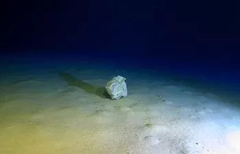 Un mar de basura: los fondos oceánicos, grandes vertederos de desechos