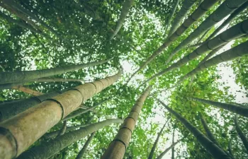 País Vasco destina 2 millones para actuaciones de desarrollo sostenible en municipios y entidades locales