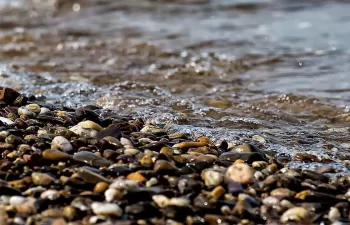 Una reconexión racional de los ríos europeos